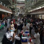 ¿Quién era y de qué murió la actriz Pilar Bardem, madre de Javier Bardem?