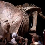 Tercera ola Covid-19: SSa reporta 285 mil 669 muertes confirmadas