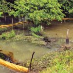 ¡Otra vez! Falla el metro de Monterrey y provoca retrasos en líneas 1 y 3