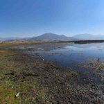 Con telemedicina se fortalece la atención obstétrica en zonas rurales: SSO