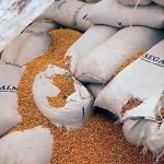 Sostiene Salomón Jara encuentro literario con la niñez oaxaqueña