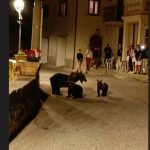 Policía Cibernética alerta sobre estafas denominadas “Cripto Romance”