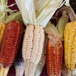 Testigos reportan primer bombardeo israelí en el centro de Beirut