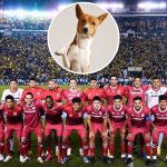 Debutará como actor en serie española