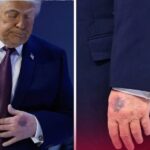 La Palma de Oro del Cine: Los Favoritos para la 98 Edición de los Premios Óscar Revelan Sus Aspirantes a la Grandeza Cinematográfica